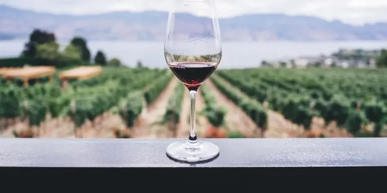 Se celebra el Día Nacional del Vino, un emblema de nuestro país