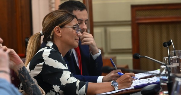 Pullaro le rompió el bloque a Amalia y dos de sus diputados habilitarán la reelección del radical
