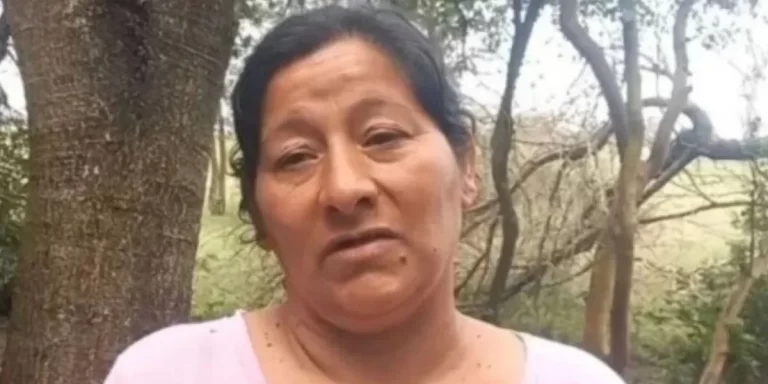 Caso Loan: Laudelina Peña apeló su procesamiento por presunta sustracción y ocultamiento del menor