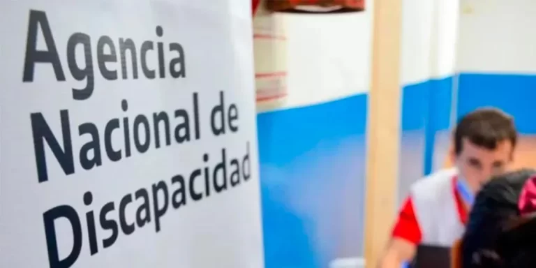 Chaco: detectan irregularidades en más del 60% de las pensiones por incapacidad laboral