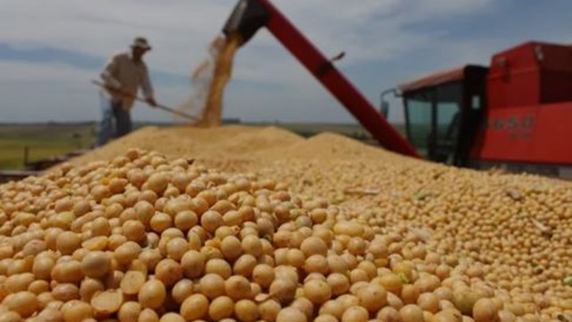 Fin de la exclusividad del dinero: el Gobierno habilitó el pagaré en especies o mercancías