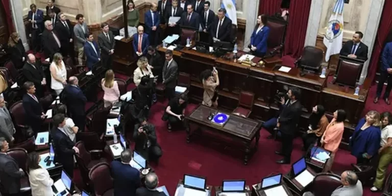 El Gobierno criticó a los senadores por el aumento y un legislador propuso que cobren diez jubilaciones mínimas