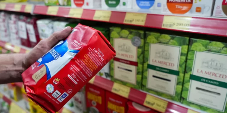 El consumo de yerba cayó un 11% en 2024 mientras que su exportación está próxima a romper un récord