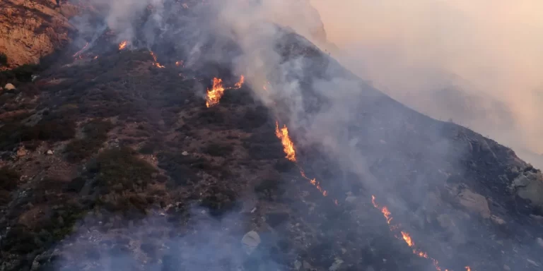 Al menos cinco muertos tras los incendios en California y Biden declaró zona catastrófica