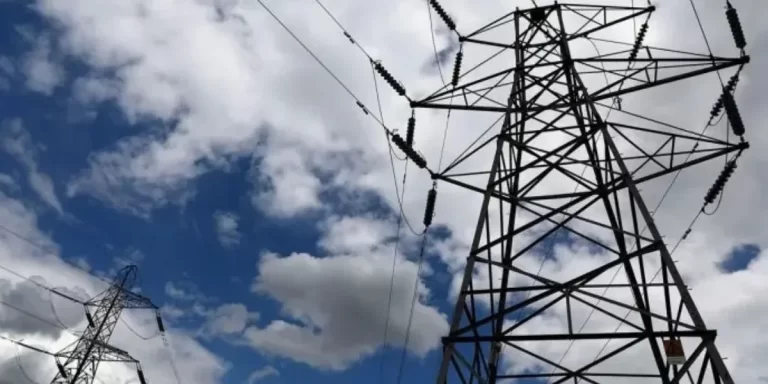 Sistema eléctrico en alerta: prevén récords de demanda durante la ola de calor