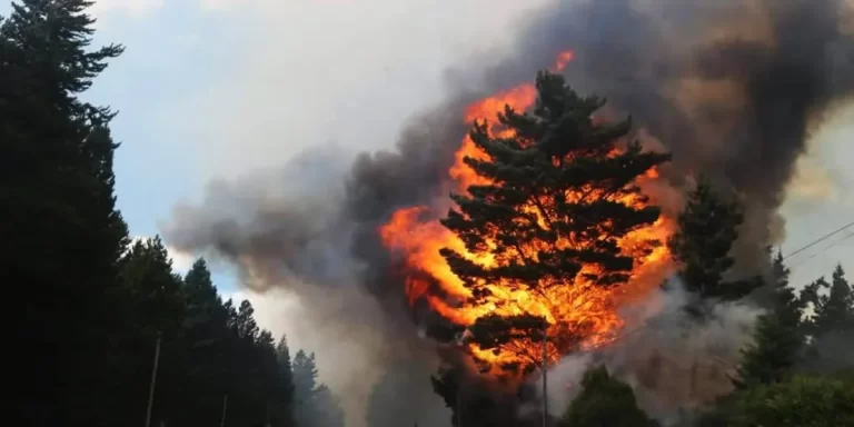 Incendio en Epuyén: se declaró la emergencia y se ordenó la evacuación de la zona
