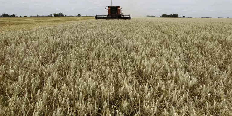 El campo le pide al Gobierno acelerar la baja de las retenciones