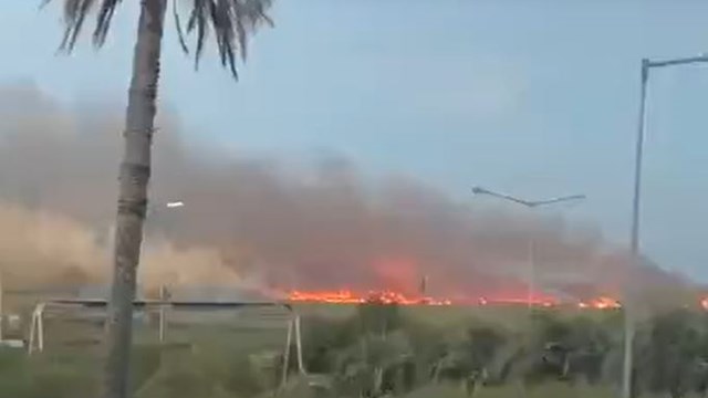 Voraz incendio en Campana afectó al Parque Nacional Ciervo de los Pantanos