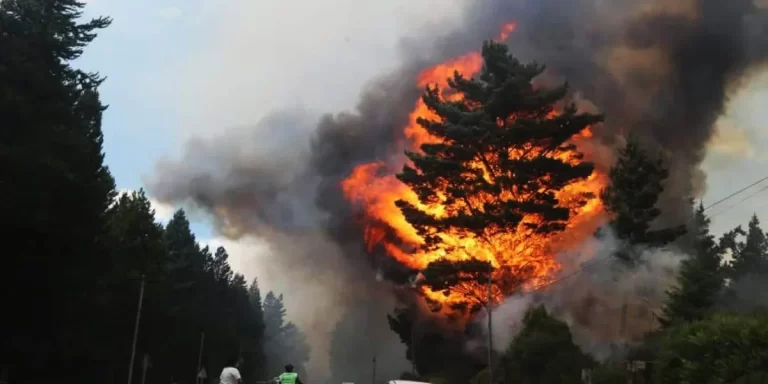 El Gobierno de Chubut confirmó que el incendio en en Epuyén “fue intencional”