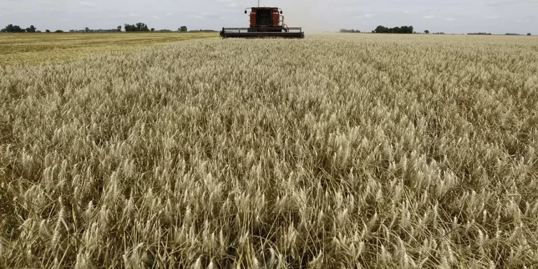 La Federación Agraria Argentina celebró la baja de las retenciones: “Es una buena señal”
