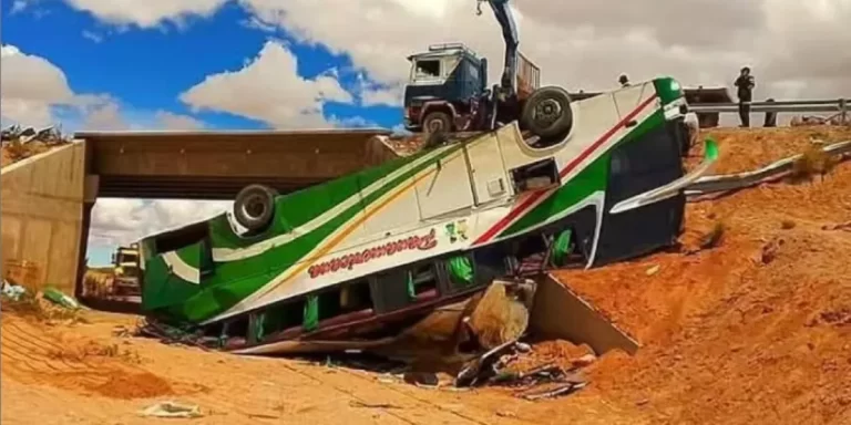 Tragedia en Bolivia: un micro desbarrancó y volcó provocando la perdida de 19 vidas