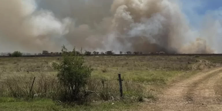 Incendio en la reserva de Hudson: los bomberos se encuentran trabajando en la zona