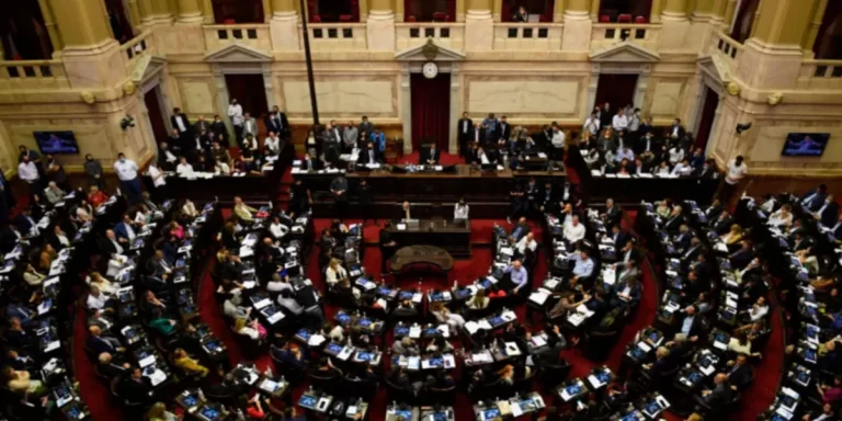 Suspensión de las PASO: los diputados definirán si apoyan la reforma electoral propuesta por el gobierno nacional