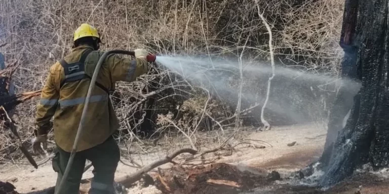 El intendente de El Bolsón sobre los incendios: “No vamos a permitir la impunidad”