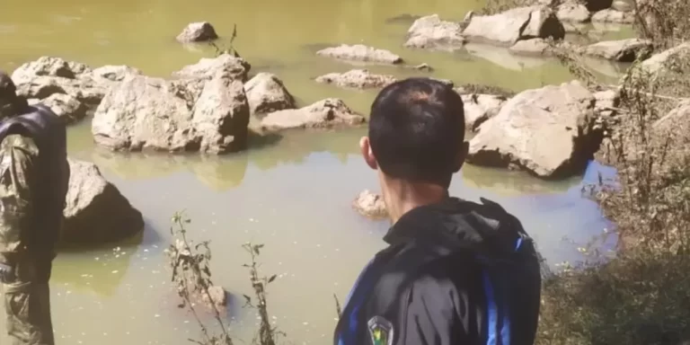Buscan a un adolescente que se arrojó a un arroyo en la selva de Misiones