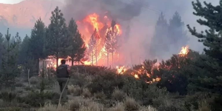 Se prohibió el uso de fuego en Parques Nacionales y se endurecieron las sanciones