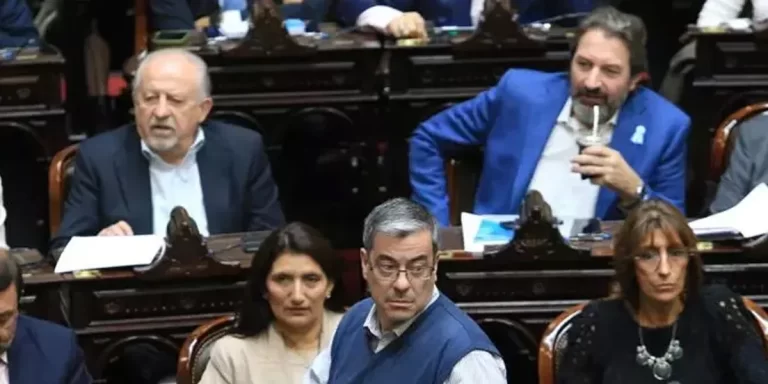 Diputados: Unión por la Patria no dará quórum en la sesión para suspender las PASO