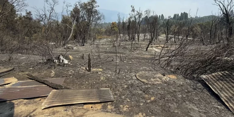 Incendio en Río Negro: denuncian que fue intencional y piden cambios en las leyes ambientales