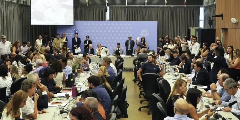 El Gobierno consiguió el dictamen para suspender las PASO: se tratará este jueves en Diputados