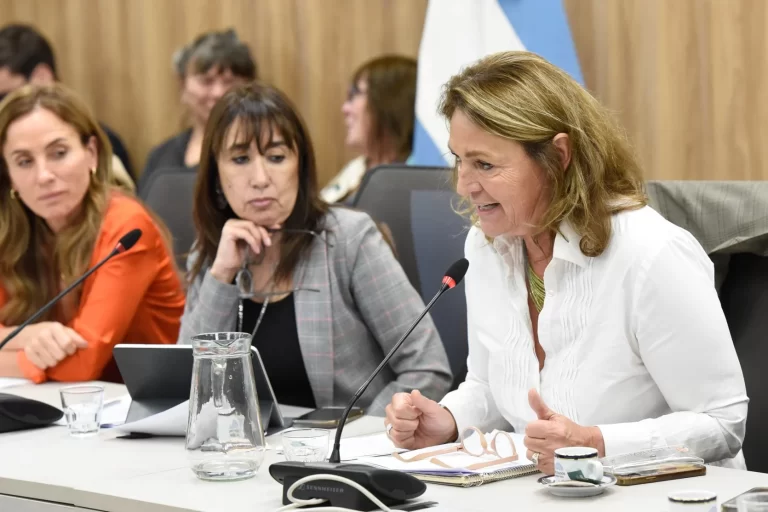 Una diputada de la Coalición Cívica anticipa que votarán por suspender las PASO