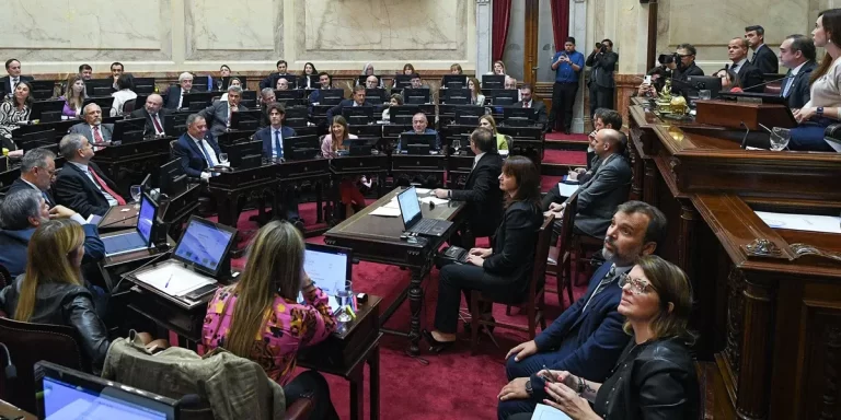 Tras la media sanción de Diputados: El oficialismo espera aprobar la semana que viene la suspensión de las PASO