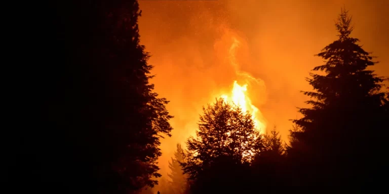 El Bolsón: liberaron a las seis personas acusadas de provocar los incendios