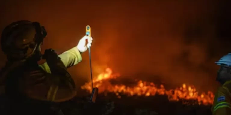 Neuquén: el fuego arrasa con miles de hectáreas en menos de 24 horas