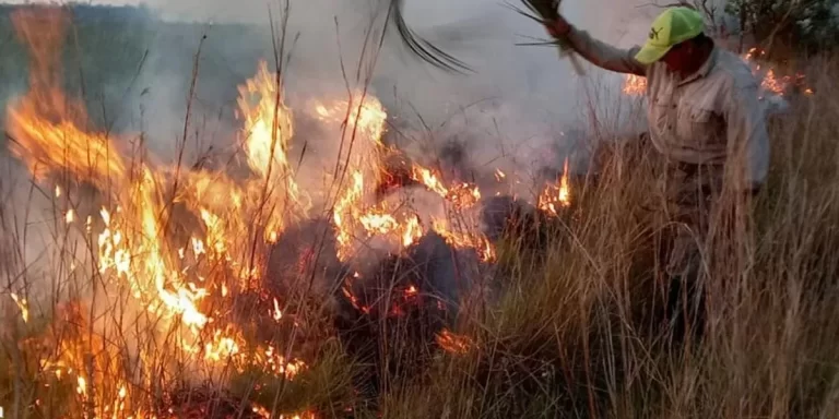 Incendios en Corrientes: más de 73.000 hectáreas afectadas y preocupación por la falta de recursos