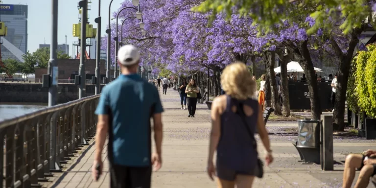 Se alcanzó un nuevo récord de consumo eléctrico por la ola de calor