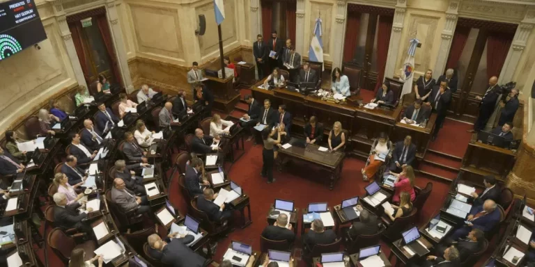 El Senado debatirá la suspensión de las PASO en comisión