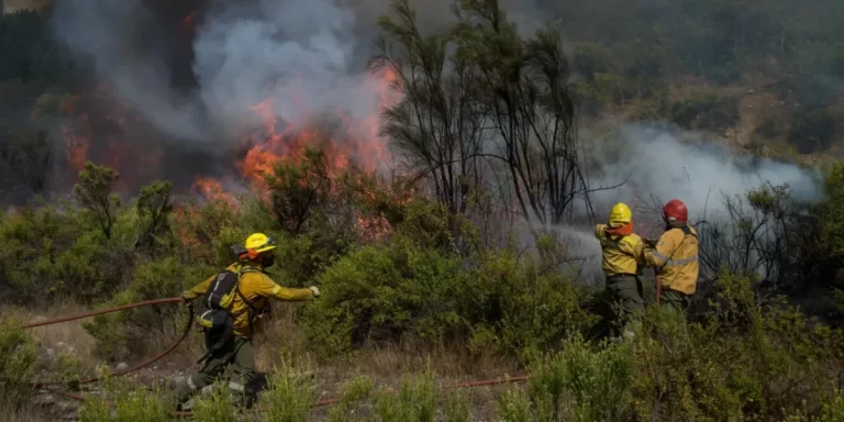 El Gobierno tratará un proyecto para agravar las penas para quienes provoquen incendios