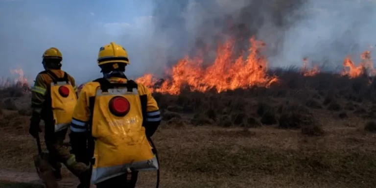 Incendios en Corrientes: “Estamos llegando a una situación, desde el punto de vista humano, de un cansancio extremo”