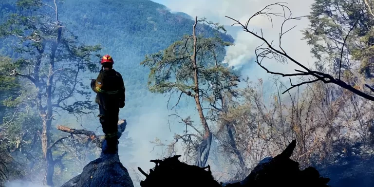 El Gobierno envió al Congreso un proyecto para endurecer las penas por causar incendios y otros delitos