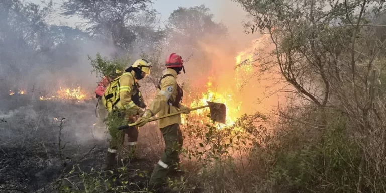 Sin focos activos: controlan los incendios en Corrientes