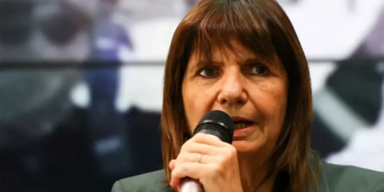 La RAM fue declarada como organización terrorista por el gobierno de Javier Milei
