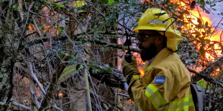 Villa Traful: Alertan por seis focos de incendios intencionales