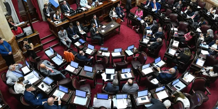 El Senado debatirá este jueves la suspensión de las PASO