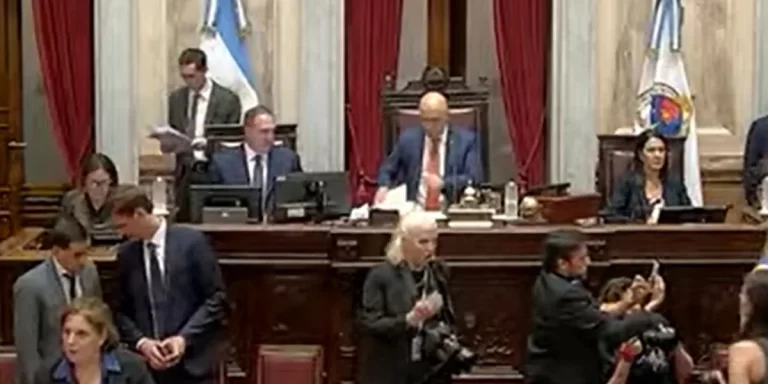Comenzó la sesión en el Senado para debatir la suspensión de las PASO