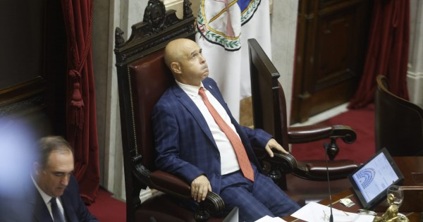 El Senado convirtió en ley la suspensión de las PASO