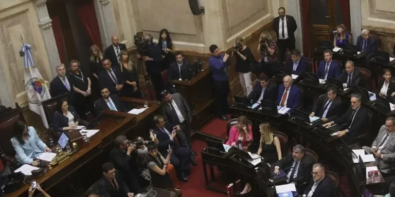 El Senado aprobó la suspensión de las PASO