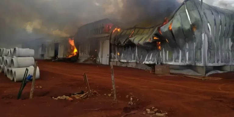 Se incendió la planta de yerba Playadito en Colonia Liebig, Corrientes