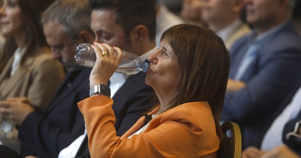 Bullrich lanza un armado para pisarle la UCR a De Loredo en Córdoba
