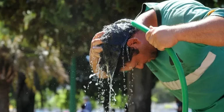 Ola de calor en CABA: la sensación térmica alcanzó los 34°C