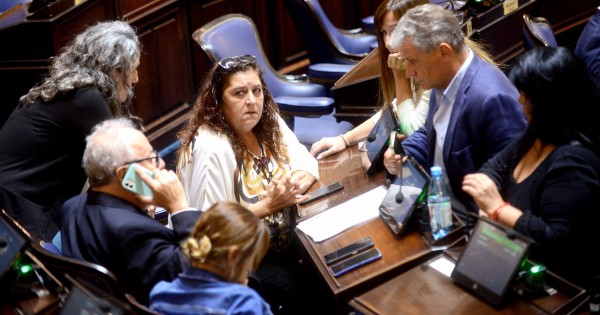 El peronismo en la Legislatura no logró el consenso para suspender las PASO en la provincia