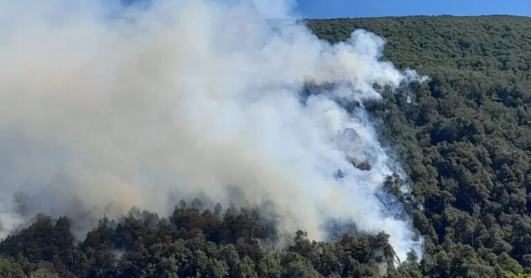 Declararon el estado de emergencia en las zonas afectadas por los incendios de la Patagonia