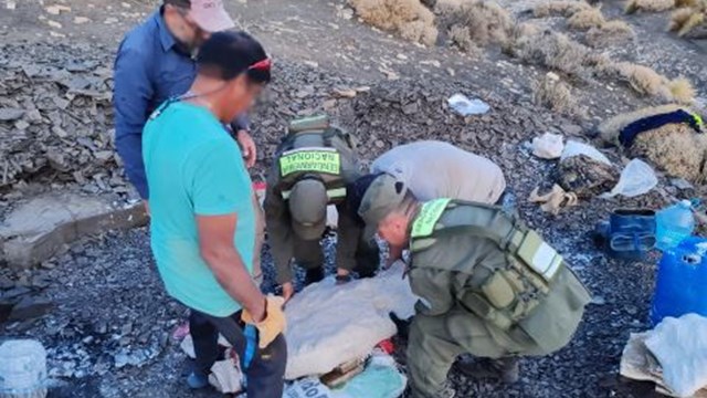 Neuquén: hallan los restos fósiles de un “ictiosaurio”