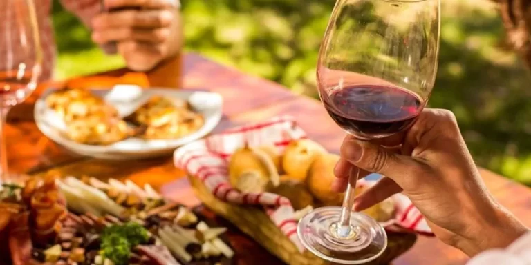 Día del Malbec: ferias y propuestas para celebrar a la icónica cepa argentina