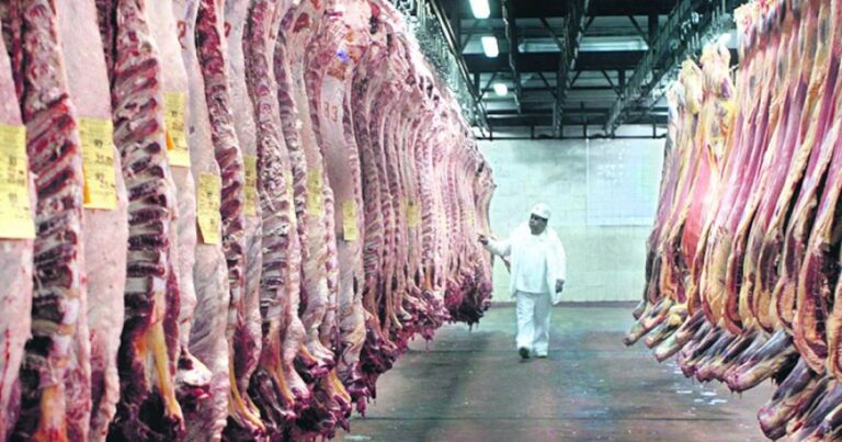 En el primer trimestre del año se retrajo la producción de carne vacuna