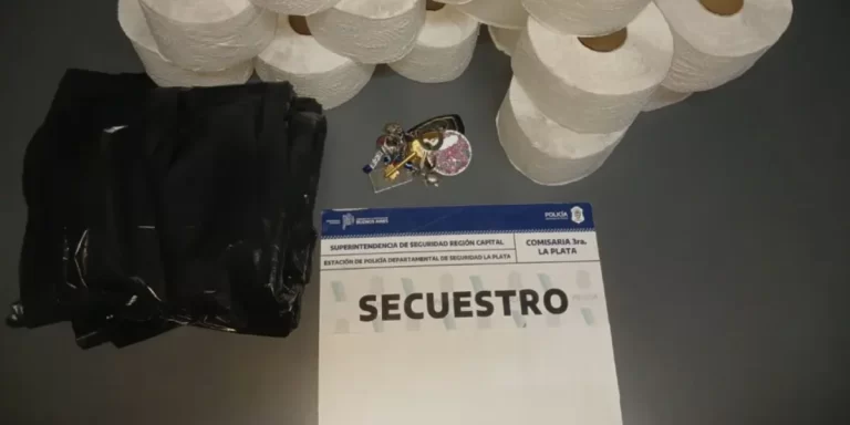 Dos menores de 10 y 12 años entraron a robar a una escuela primaria en La Plata