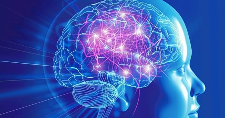 ¿Lo que vemos es lo que pensamos? El cerebro cambia las percepciones visuales, según un estudio